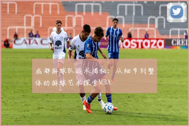 成都排球队战术揭秘：从细节到整体的排球艺术探索MBA