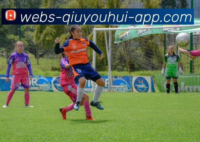 App Interface Preview